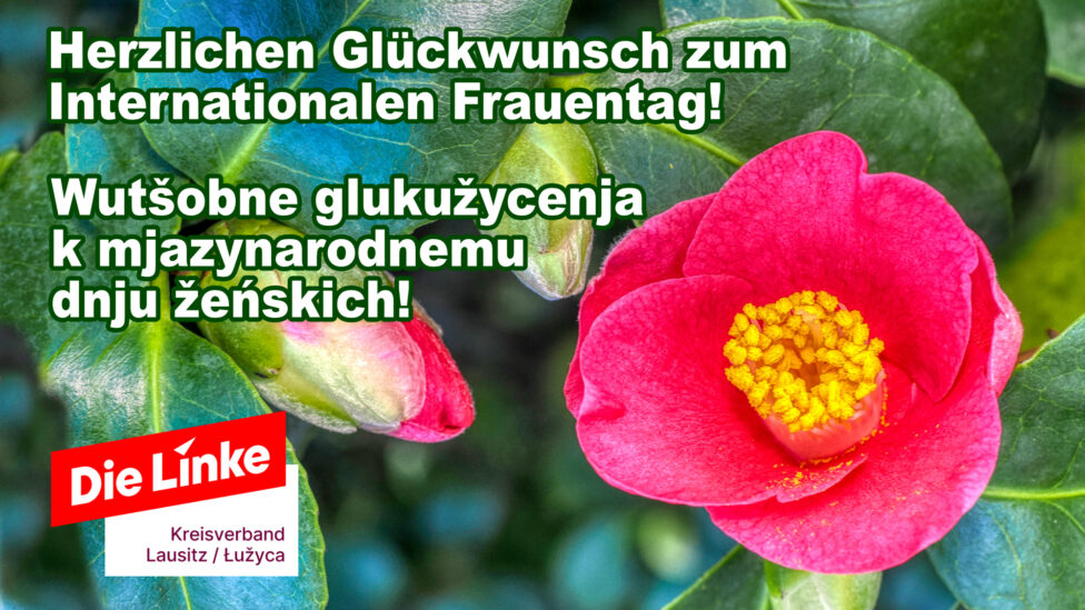 Herzlichen Glückwunsch zumInternationalen Frauentag - Die Linke Lausitz