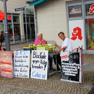 Infostand "Frieden auf der Welt", Die Linke Spremberg am Spremberger Marktplatz.