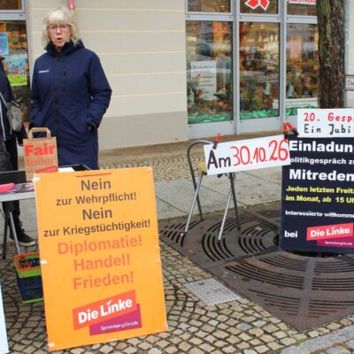 Für 2027, letzter planmäßiger Infostand der Spremberger Linken am Marktplatz Spremberg. Thema Frieden